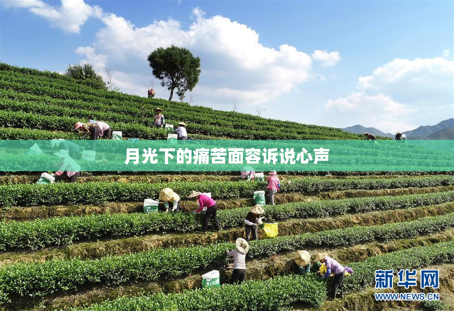 月光下的痛苦面容诉说心声