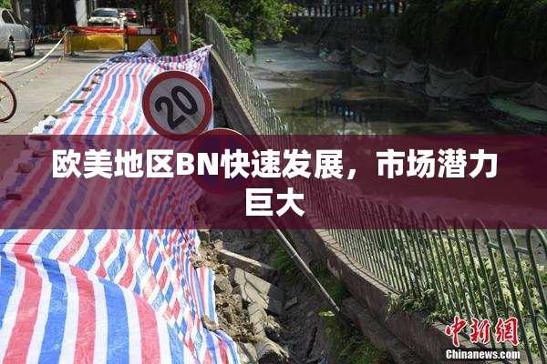 欧美地区BN快速发展，市场潜力巨大