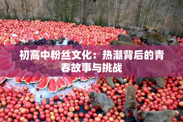 初高中粉丝文化：热潮背后的青春故事与挑战