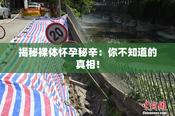 揭秘裸体怀孕秘辛：你不知道的真相！