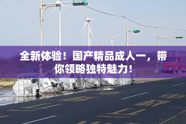 全新体验！国产精品成人一，带你领略独特魅力！