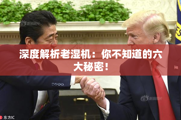 深度解析老湿机：你不知道的六大秘密！