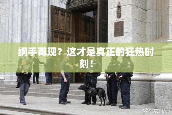 纲手再现？这才是真正的狂热时刻！