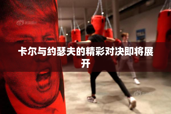 卡尔与约瑟夫的精彩对决即将展开