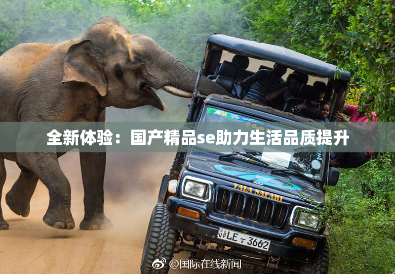 全新体验：国产精品se助力生活品质提升