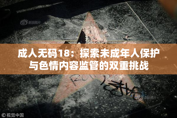 成人无码18：探索未成年人保护与色情内容监管的双重挑战