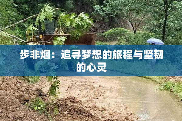 步非烟：追寻梦想的旅程与坚韧的心灵