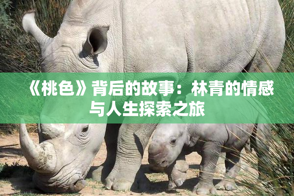 《桃色》背后的故事：林青的情感与人生探索之旅