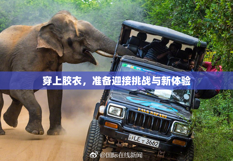 穿上胶衣，准备迎接挑战与新体验