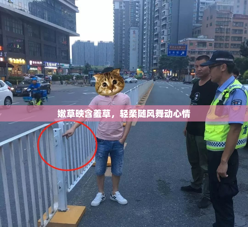 嫩草映含羞草，轻柔随风舞动心情