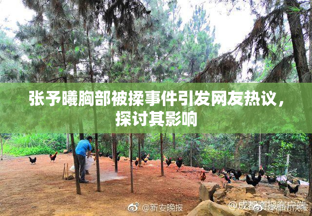 张予曦胸部被揉事件引发网友热议，探讨其影响