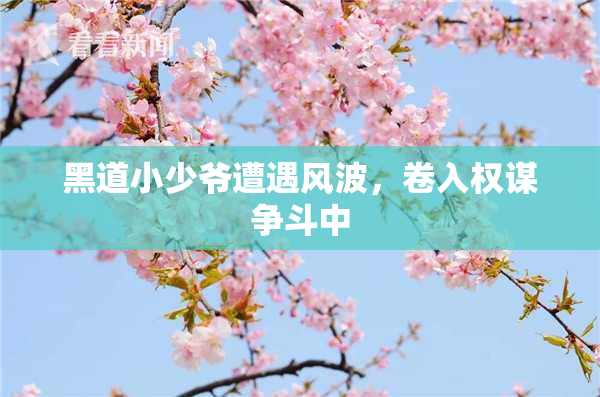 黑道小少爷遭遇风波，卷入权谋争斗中