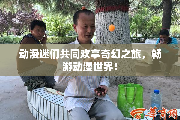 动漫迷们共同欢享奇幻之旅，畅游动漫世界！