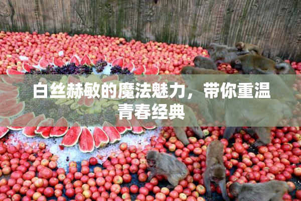 白丝赫敏的魔法魅力，带你重温青春经典
