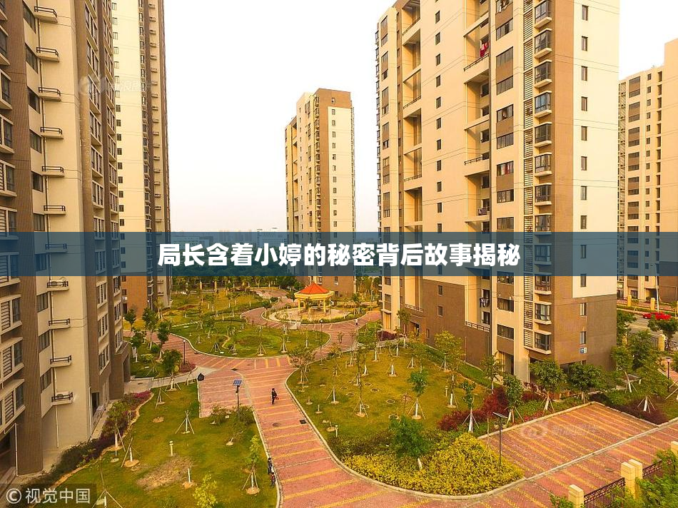 局长含着小婷的秘密背后故事揭秘