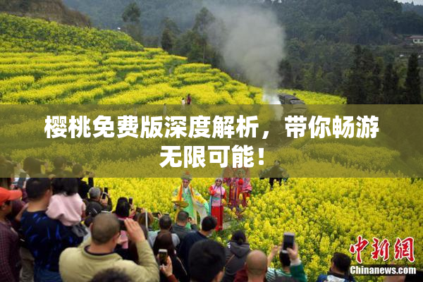 樱桃免费版深度解析，带你畅游无限可能！
