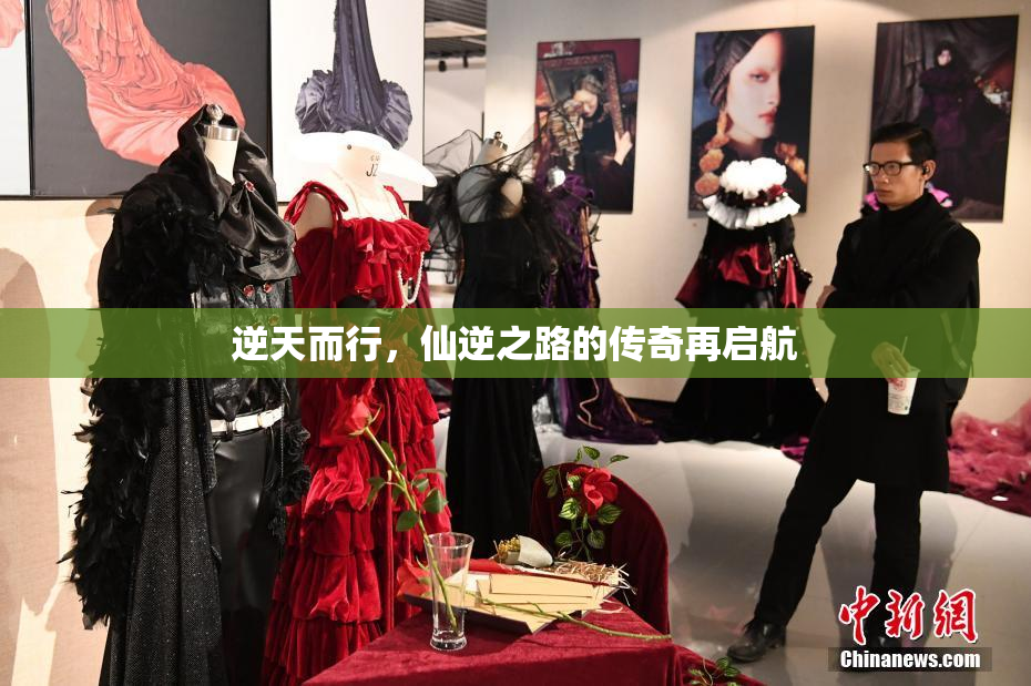 逆天而行，仙逆之路的传奇再启航