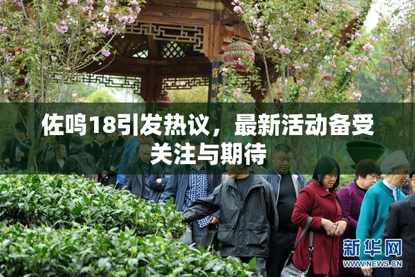 佐鸣18引发热议，最新活动备受关注与期待