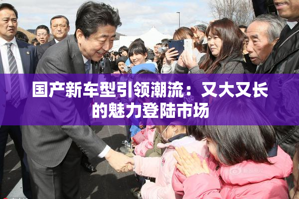 国产新车型引领潮流：又大又长的魅力登陆市场