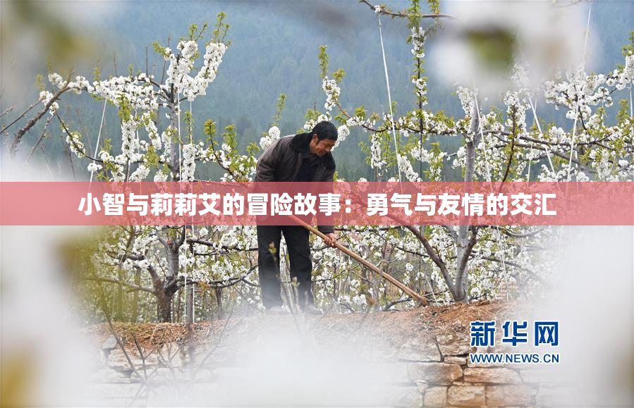 小智与莉莉艾的冒险故事：勇气与友情的交汇