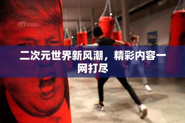 二次元世界新风潮，精彩内容一网打尽