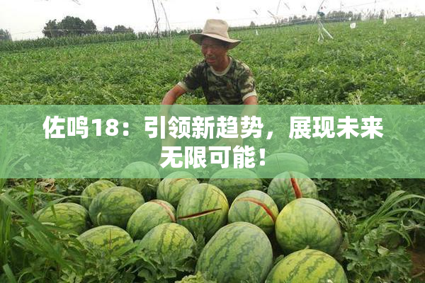 佐鸣18：引领新趋势，展现未来无限可能！