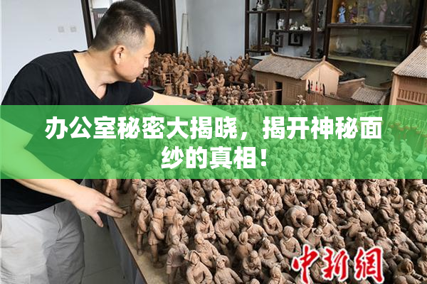 办公室秘密大揭晓，揭开神秘面纱的真相！