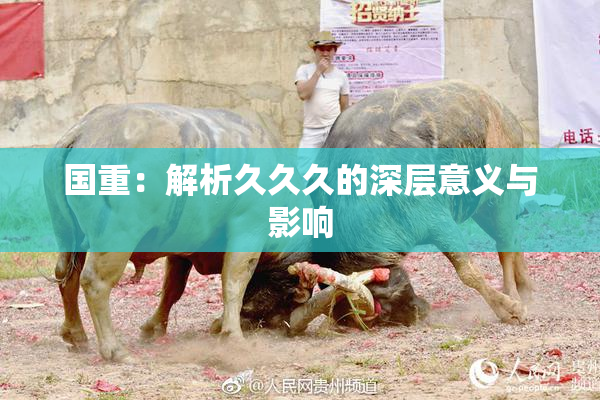 国重：解析久久久的深层意义与影响