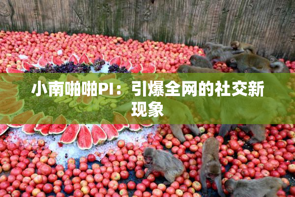 小南啪啪PI：引爆全网的社交新现象