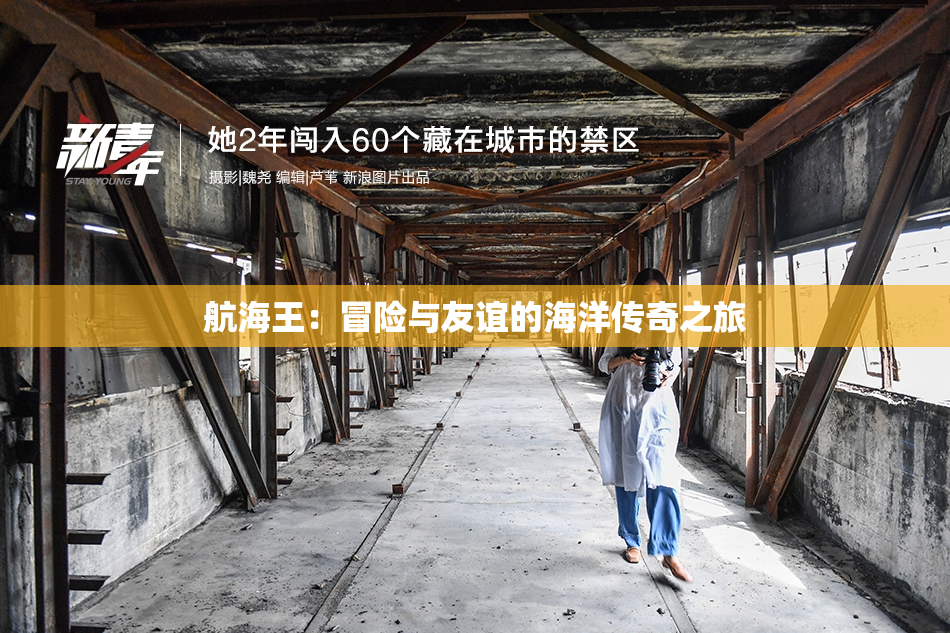 航海王：冒险与友谊的海洋传奇之旅