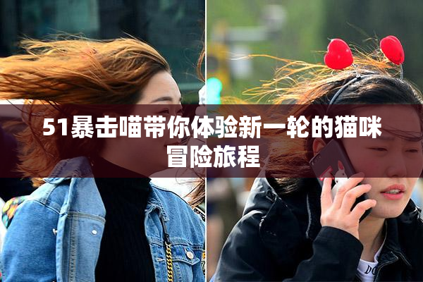 51暴击喵带你体验新一轮的猫咪冒险旅程