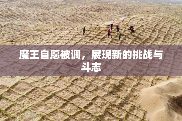 魔王自愿被调，展现新的挑战与斗志