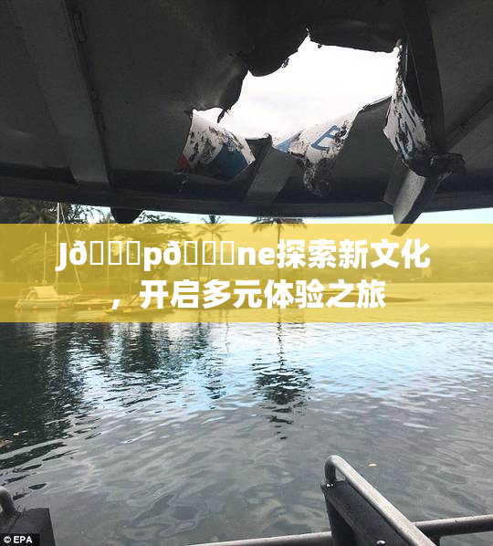 J🈚p🈚ne探索新文化，开启多元体验之旅