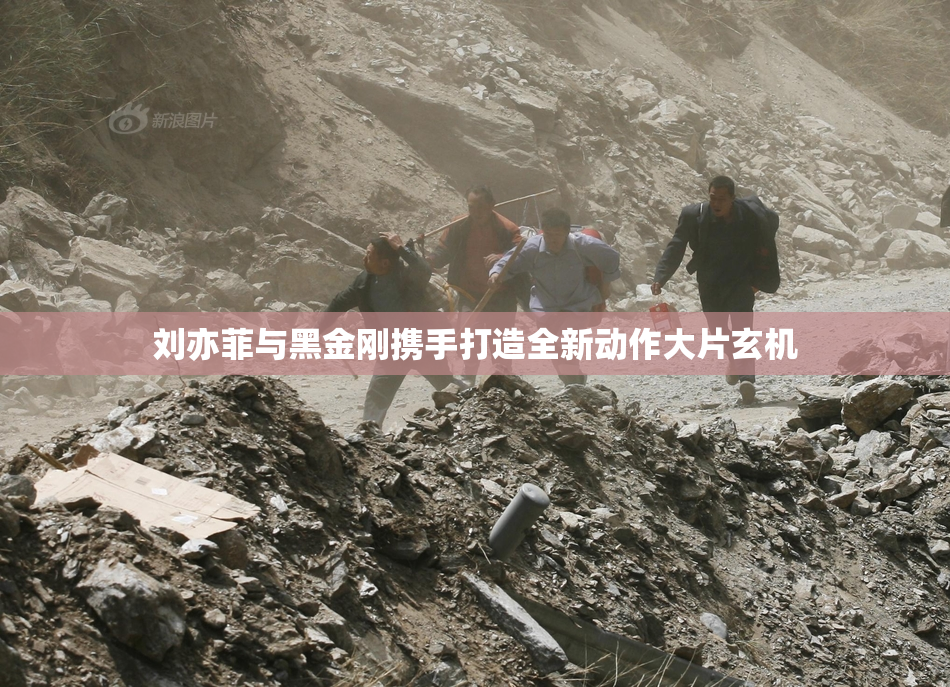 刘亦菲与黑金刚携手打造全新动作大片玄机