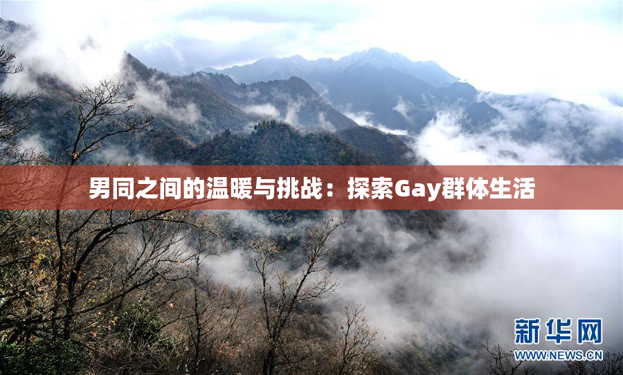 男同之间的温暖与挑战：探索Gay群体生活