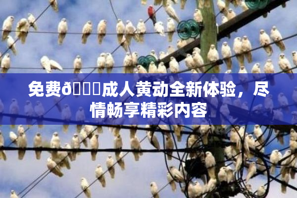 免费🔞成人黄动全新体验，尽情畅享精彩内容