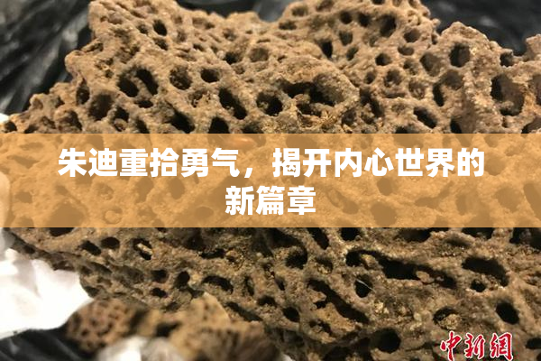 朱迪重拾勇气，揭开内心世界的新篇章