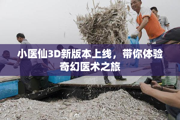 小医仙3D新版本上线，带你体验奇幻医术之旅