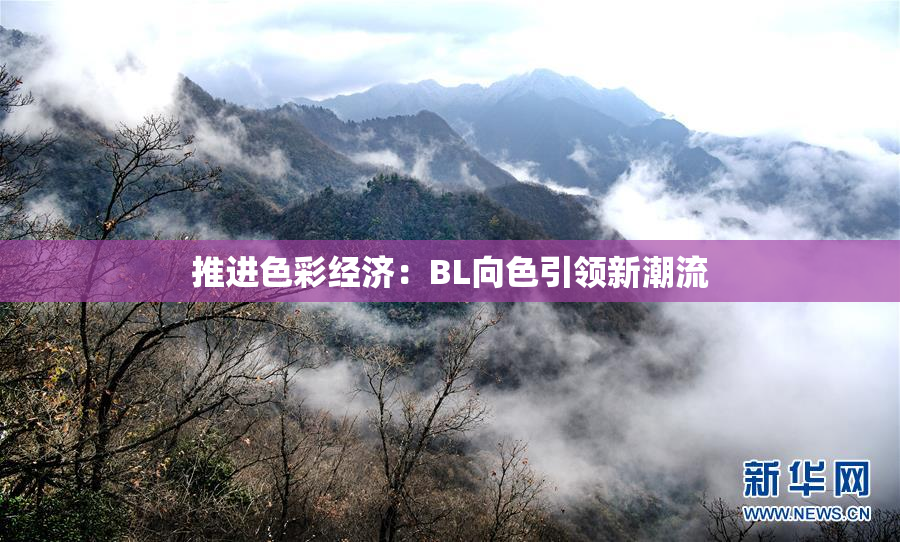 推进色彩经济：BL向色引领新潮流