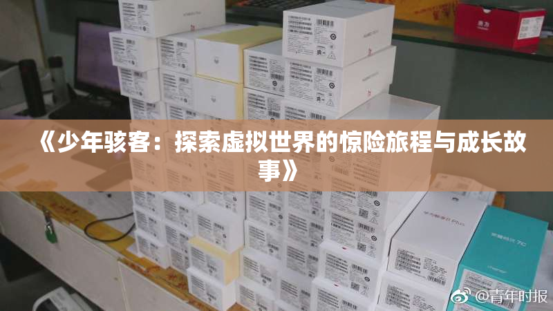 《少年骇客：探索虚拟世界的惊险旅程与成长故事》