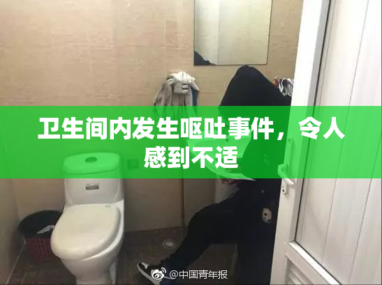 卫生间内发生呕吐事件，令人感到不适