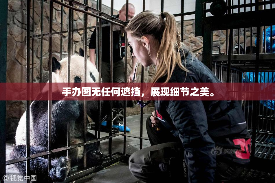 手办图无任何遮挡，展现细节之美。
