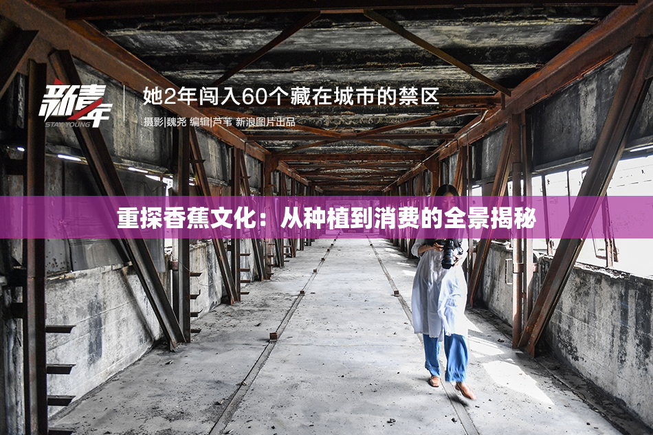 重探香蕉文化：从种植到消费的全景揭秘