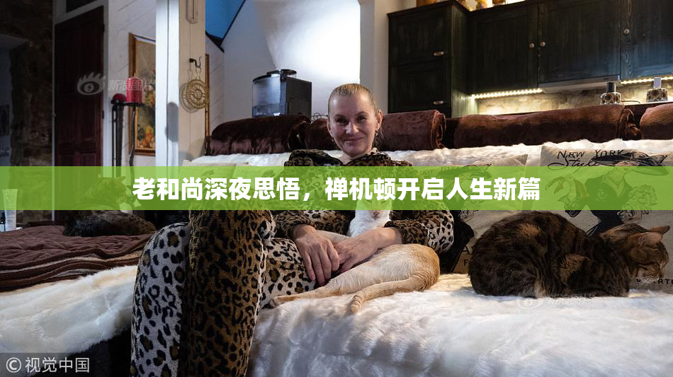 老和尚深夜思悟，禅机顿开启人生新篇