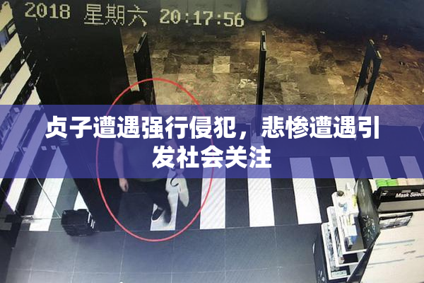 贞子遭遇强行侵犯，悲惨遭遇引发社会关注