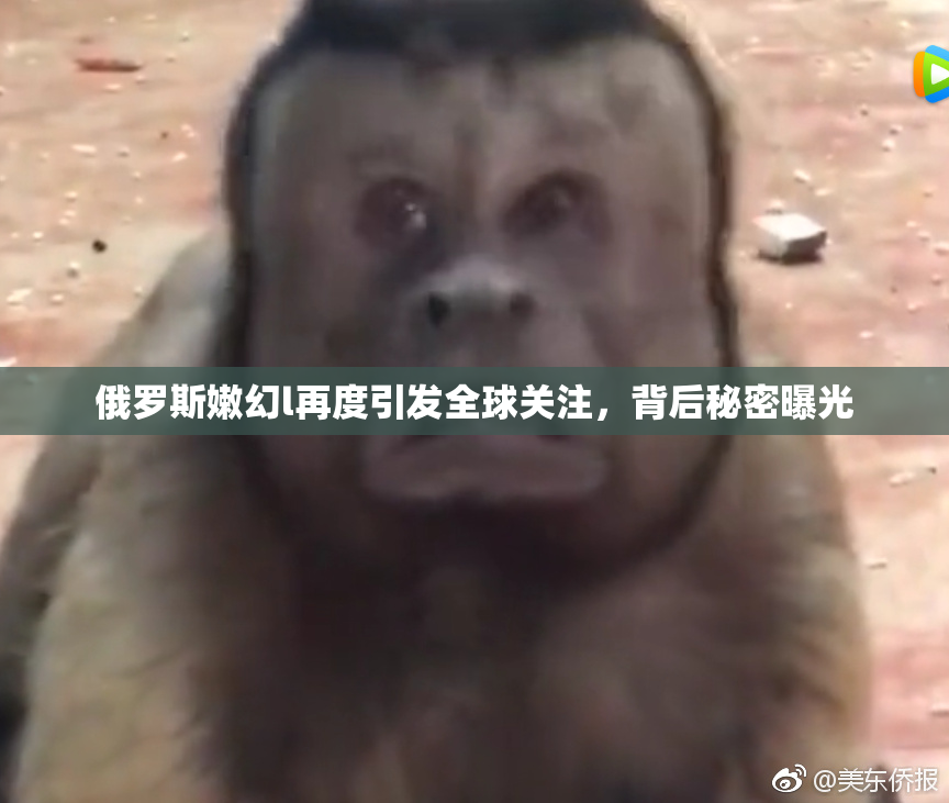 俄罗斯嫩幻l再度引发全球关注，背后秘密曝光