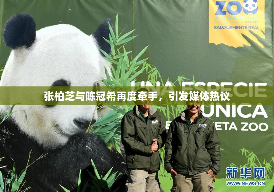 张柏芝与陈冠希再度牵手，引发媒体热议