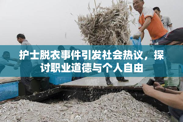 护士脱衣事件引发社会热议，探讨职业道德与个人自由