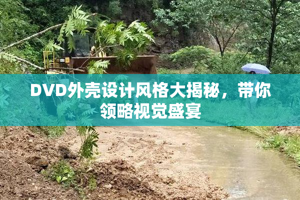 DVD外壳设计风格大揭秘，带你领略视觉盛宴