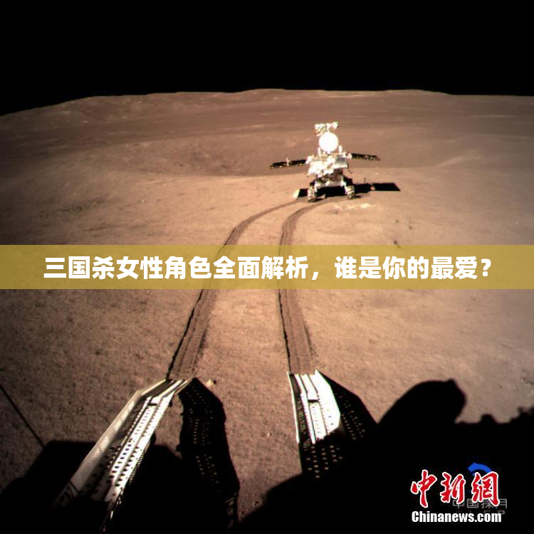 三国杀女性角色全面解析，谁是你的最爱？